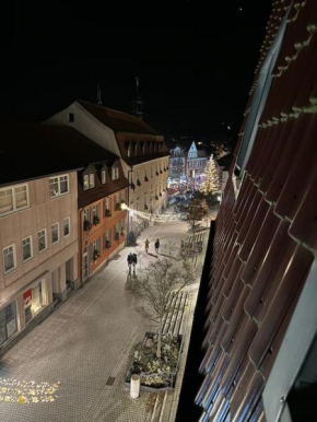 Ferienwohnung Wohnung Innenstadt Am Burgsee